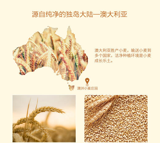 袋鼠妈妈小麦裸妆BB霜孕妇护肤品JPY带授权招加盟代理 商品图9