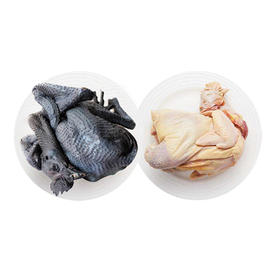 皖北 农家散养郭大村两年老母鸡1只+散养白羽乌鸡1只