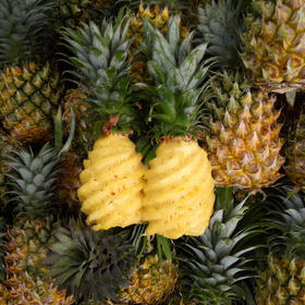 香水菠萝 新鲜菠萝 当季凤梨 手撕小菠萝  生鲜水果
