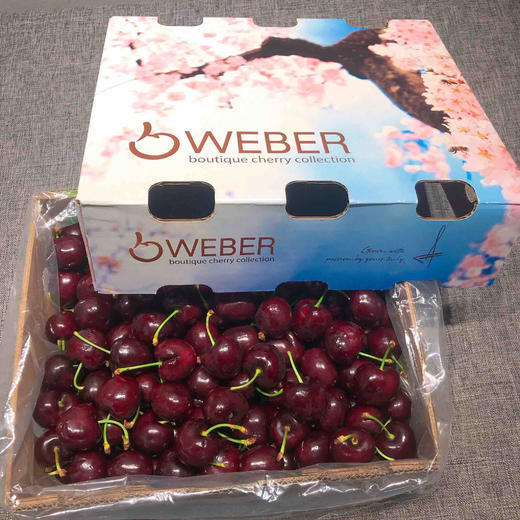 智利空运3jjj超大加黑车厘子santina每箱5斤礼盒