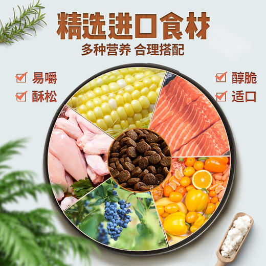 佩玛思特幼猫/成猫猫粮 商品图4