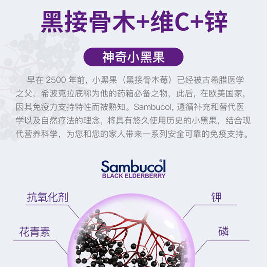 【澳洲直邮】Sambucol小黑果黑接骨木儿童糖浆120mlJPY带授权招加盟代理 商品图14