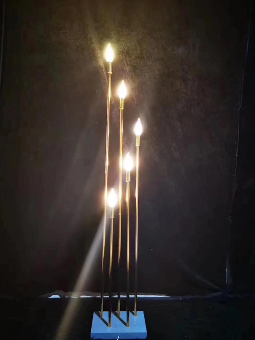 芦苇灯 星光路引【运费自理】 商品图10