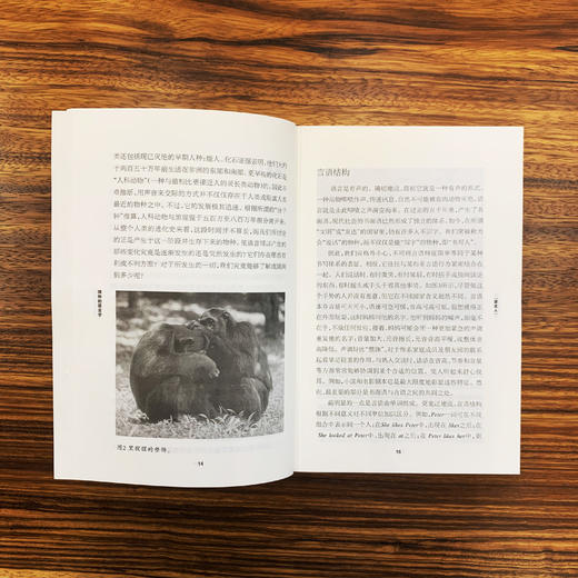 《牛津通识读本：缤纷的语言学》 商品图1