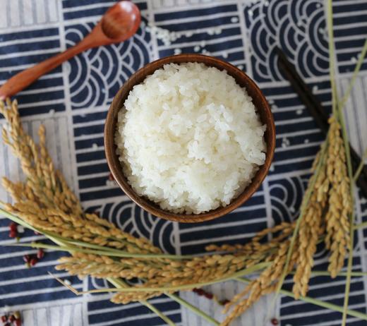 猫米系列，，一个人也要好好吃饭，桐叶大米300g装，2025季新鲜上市 商品图3