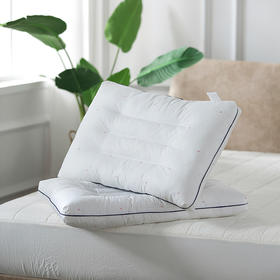 远梦抗菌防螨决明子成长枕