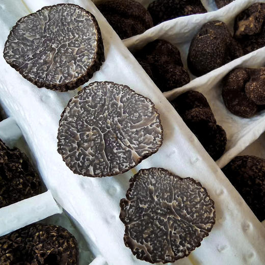 野生黑松露天然顶级食材香浓味醇一年一季臻选品质