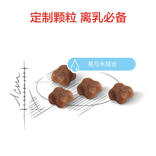 皇家猫奶糕幼猫粮BK34/K36-2kg 商品图3