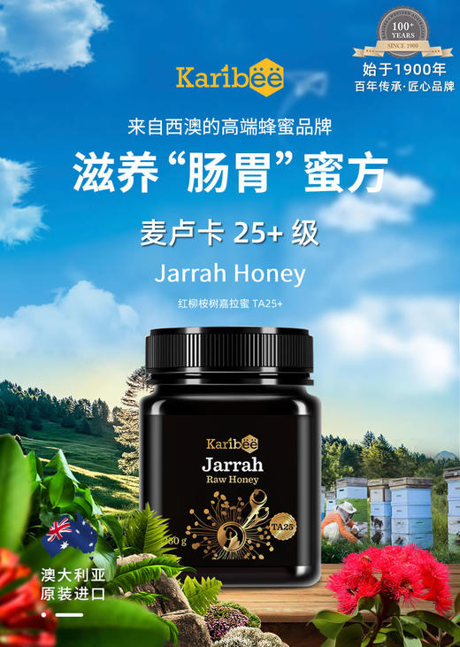 国内现货karibee可瑞比澳洲原装进口蜂蜜karibee桉树蜂蜜5500g