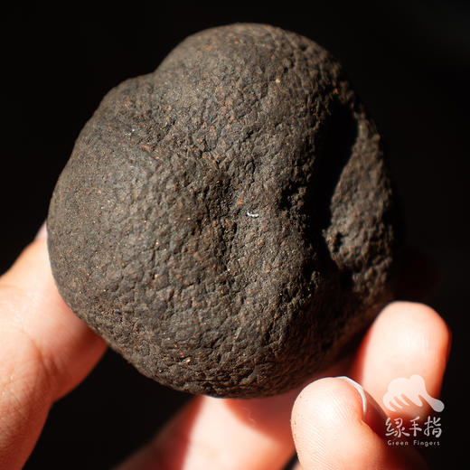 野生黑松露 | 合作生产 *Wild black truffle | Coperation 商品图5