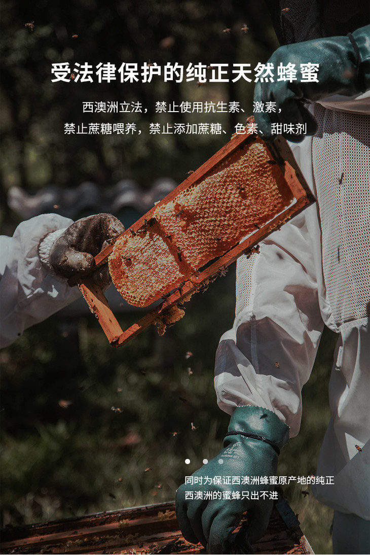 国内现货 karibee 可瑞比澳洲原装进口蜂蜜 桉树蜂蜜5 500g 有效期至