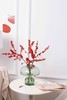 北美冬青瓶花 商品缩略图5