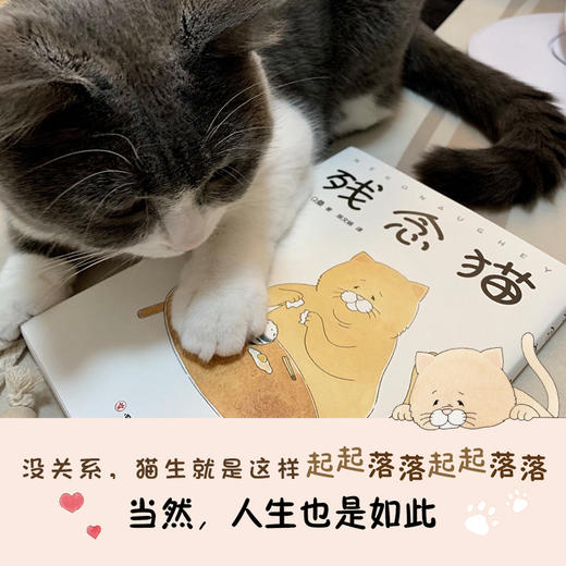 残念猫 1 商品图4