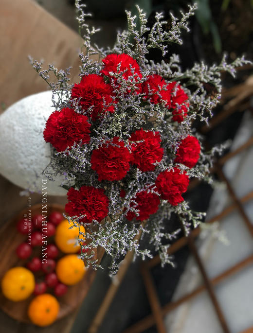 感恩红色康乃馨11送情人草