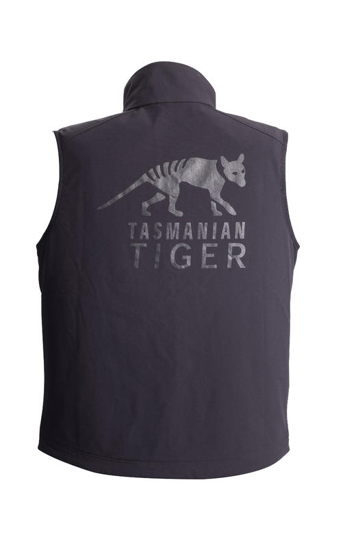 塔虎 TT马甲  无袖马甲户外抓绒衣外套男士登山冲锋衣内胆 商品图2