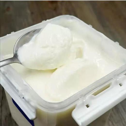 【润康全脂风味发酵乳】1千克/桶，奶香浓郁、口感醇厚 商品图2