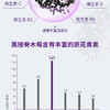 【澳洲直邮】Sambucol小黑果黑接骨木儿童糖浆120mlJPY带授权招加盟代理 商品缩略图4