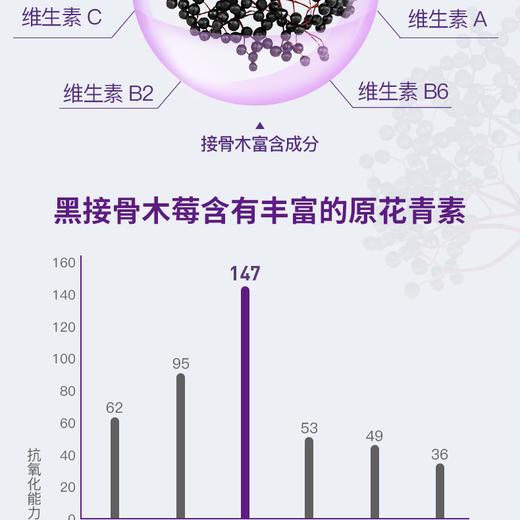 【澳洲直邮】Sambucol小黑果黑接骨木儿童糖浆120mlJPY带授权招加盟代理 商品图4