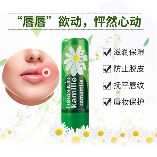 德国 小甘菊/贺本清  敏感修护唇膏护手霜套装 到27年7月 商品图2