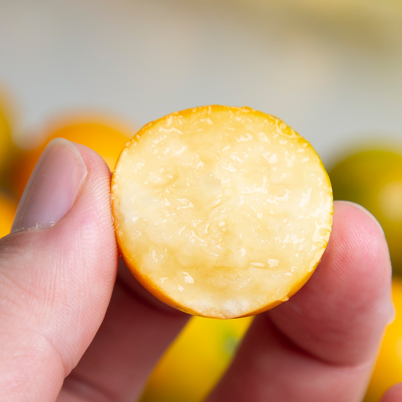 融安金桔（滑皮金桔）