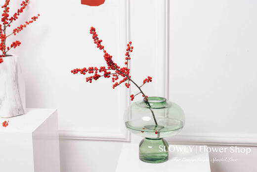 北美冬青瓶花 商品图6