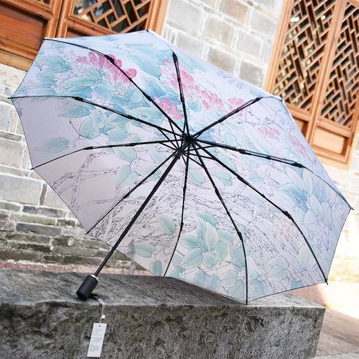 天一书局出品 中国风炮仗花开雨伞 两用折叠伞太阳伞 商品图1
