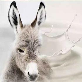 新疆农丰天山富硒土驴奶 2斤/2瓶