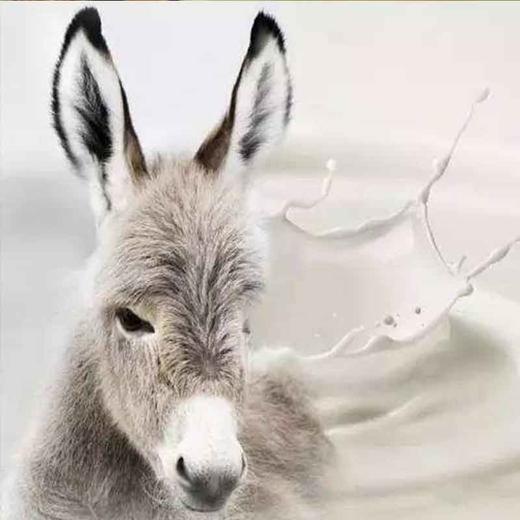 新疆农丰天山富硒土驴奶 2斤/2瓶 商品图0