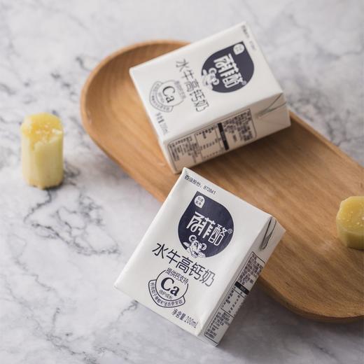 百菲酪水牛高钙奶200ml*10盒买一送一 商品图1