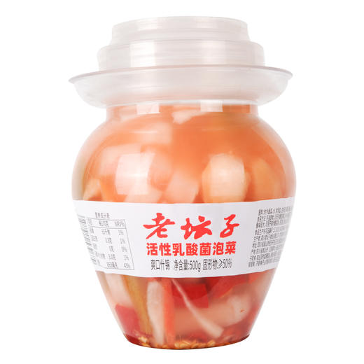 老坛子活性乳酸菌泡菜爽口什锦  500g 商品图0
