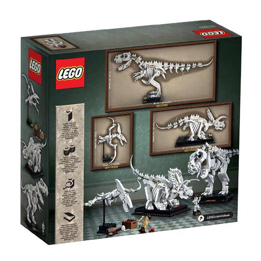 乐高 恐龙化石 21320 商品图2