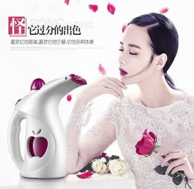 【家用电器】家用手持挂烫机 新款蒸汽熨烫机 迷你电熨斗熨烫机