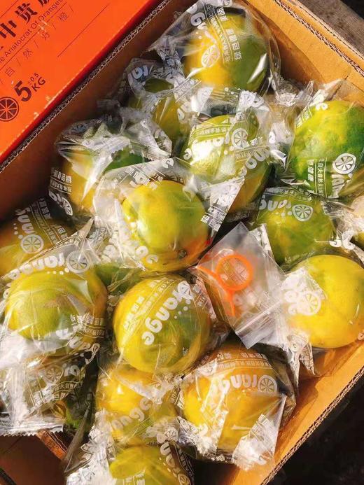 【云南哀牢山冰糖橙】优级果，纯甜清香、脆口的 商品图6