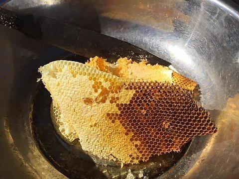 悬崖蜜中的上品的《药蜜》，这是崖蜜中的药蜜，500克/瓶（买两瓶减10元） 商品图1