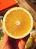 【云南哀牢山冰糖橙】优级果，纯甜清香、脆口的 商品缩略图3