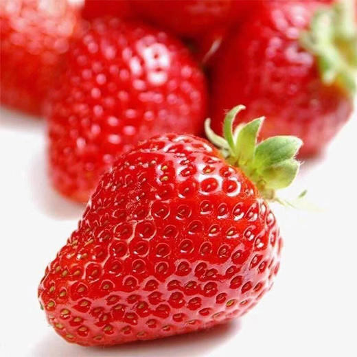 【丹东红颜草莓】约11-15枚/盒*1盒/2盒，香甜可口 商品图4