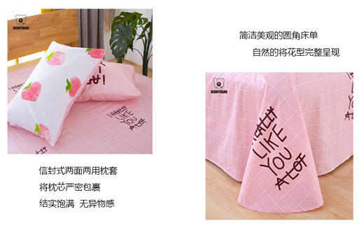 【授权商品】韩国杯具熊 BeddyBear全棉床上用品 4件套 大号 系列JPY带授权招加盟代理 商品图2