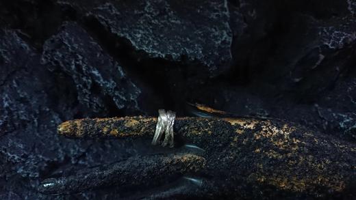 CHEZ BOQUE 羁绊系列原创手工925银戒指《缠绕12号》 商品图1