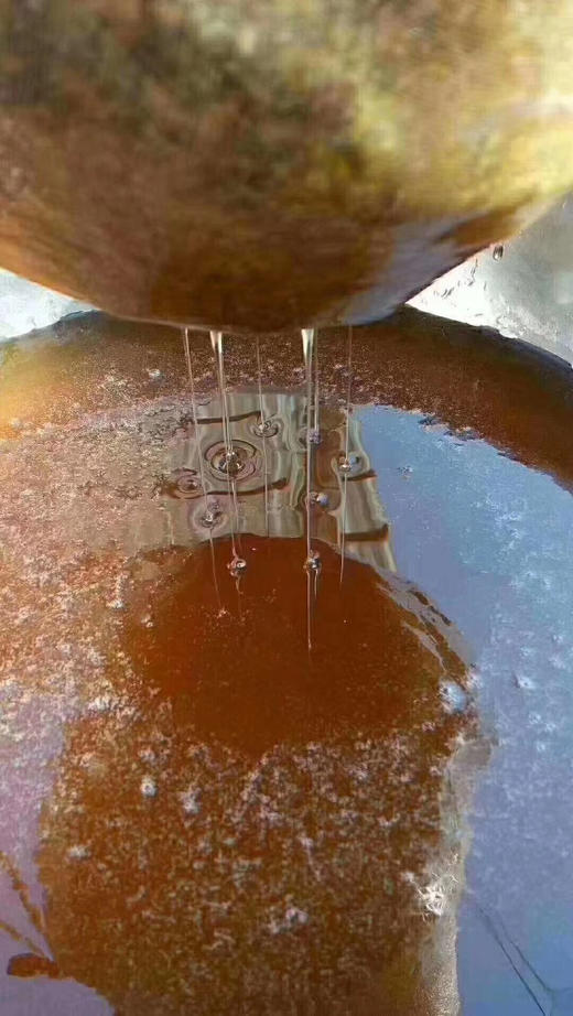 悬崖蜜中的上品的《药蜜》，这是崖蜜中的药蜜，500克/瓶（买两瓶减10元） 商品图3