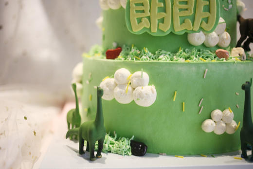 男孩款 森林恐龙 森系 商品图2