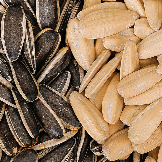 内蒙古.巴彦淖尔瓜子 60年古法传承工艺 颗颗精选 粒粒奇香 只用当年新采收的瓜子 商品图5