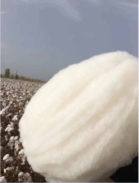 新疆优质棉包边棉被6斤 （冬被儿童被）纯手工包边 （多规格尺寸可选） 商品图6