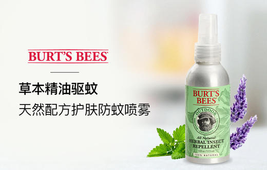 BURTS BEES/小蜜蜂 驱蚊喷雾 115ML 商品图3