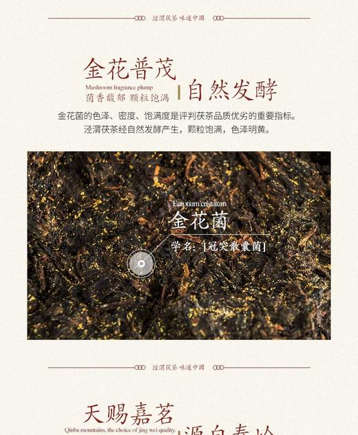 泾渭茯茶经典1368茯砖茶900克（年份：2023） 商品图3