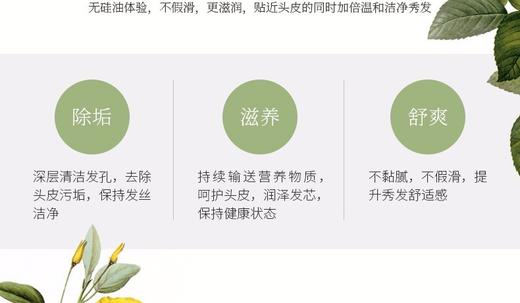 BOTANICAL MARCHE/草木华实 洗护组合 系列JPY带授权招加盟代理 商品图11