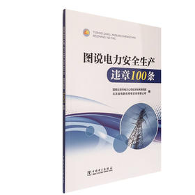 图说电力安全生产违章100条