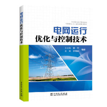 电网运行优化与控制技术 商品图0