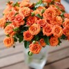 橙芭比玫瑰（5月29日下午取花），一束5支原价48元，团购21元/束！ 商品缩略图0