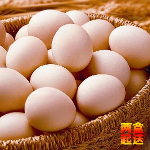 田园生态土鸡蛋（两盒起送） 商品图3