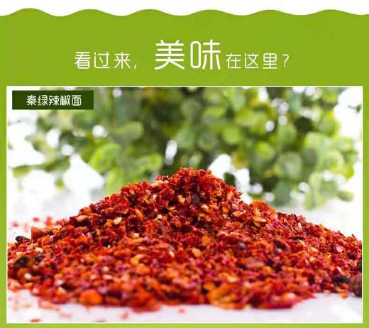 秦绿我的辣味500克（3袋包邮） 商品图2
